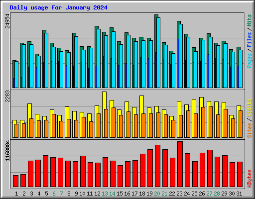 Daily usage for January 2024