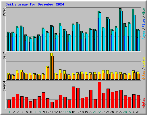 Daily usage for December 2024