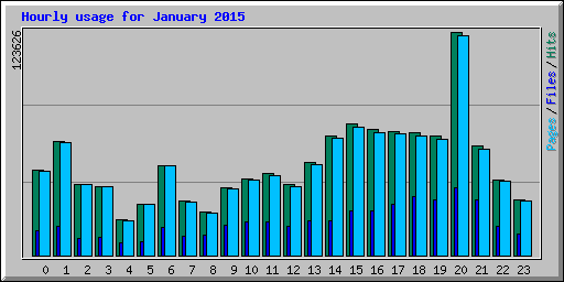 Hourly usage for January 2015