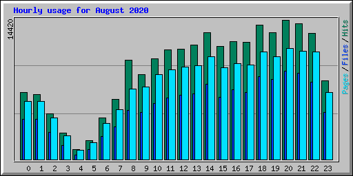 Hourly usage for August 2020
