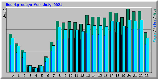 Hourly usage for July 2021