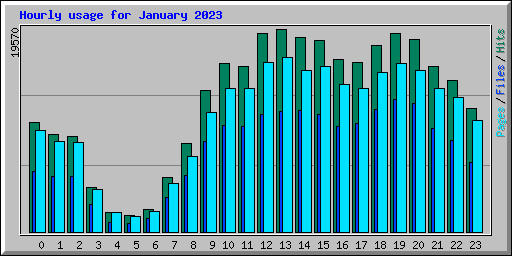Hourly usage for January 2023