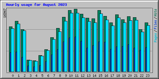 Hourly usage for August 2023