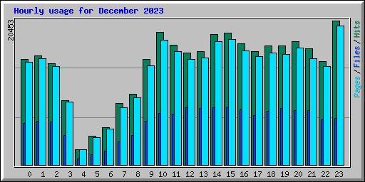 Hourly usage for December 2023