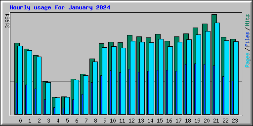 Hourly usage for January 2024