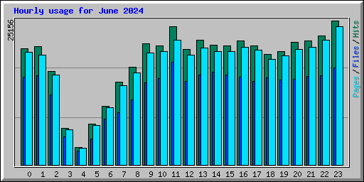 Hourly usage for June 2024