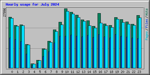 Hourly usage for July 2024