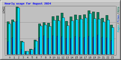 Hourly usage for August 2024