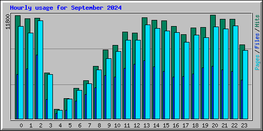Hourly usage for September 2024