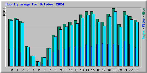 Hourly usage for October 2024
