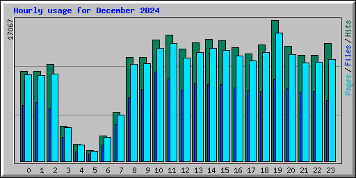 Hourly usage for December 2024
