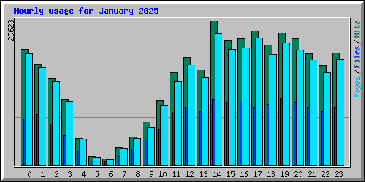 Hourly usage for January 2025
