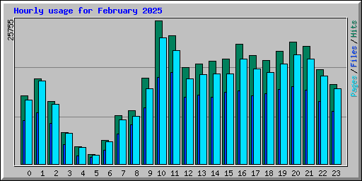 Hourly usage for February 2025
