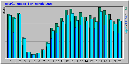 Hourly usage for March 2025