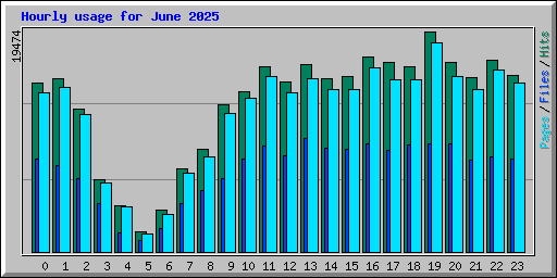 Hourly usage for June 2025