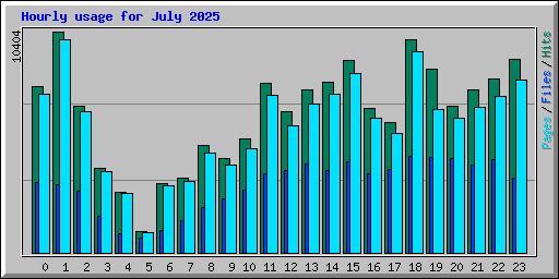 Hourly usage for July 2025